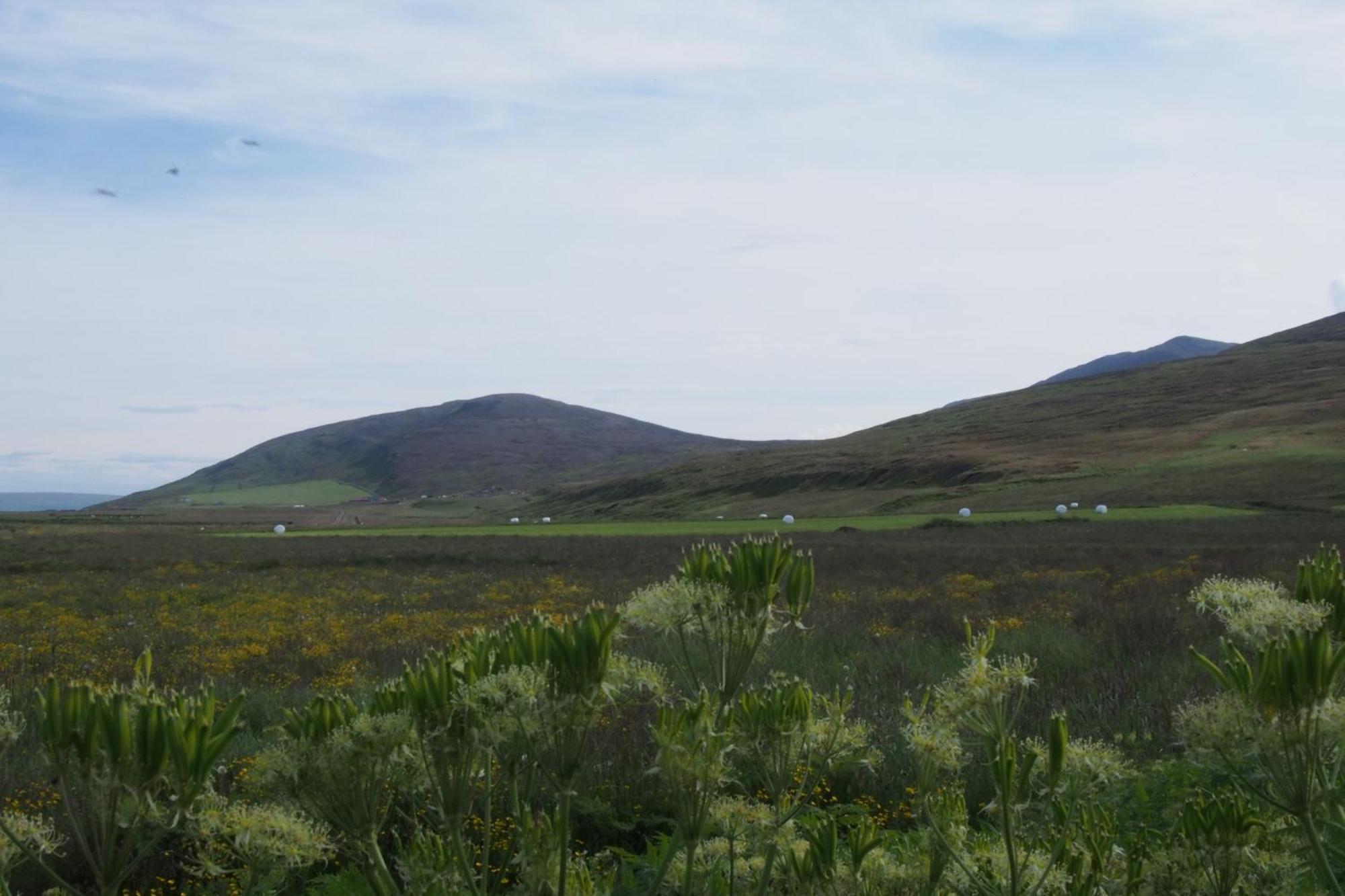 Granastathir Guesthouse Husavik Luaran gambar