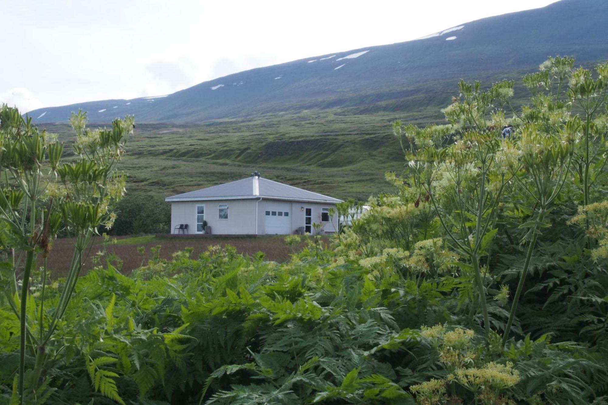 Granastathir Guesthouse Husavik Luaran gambar