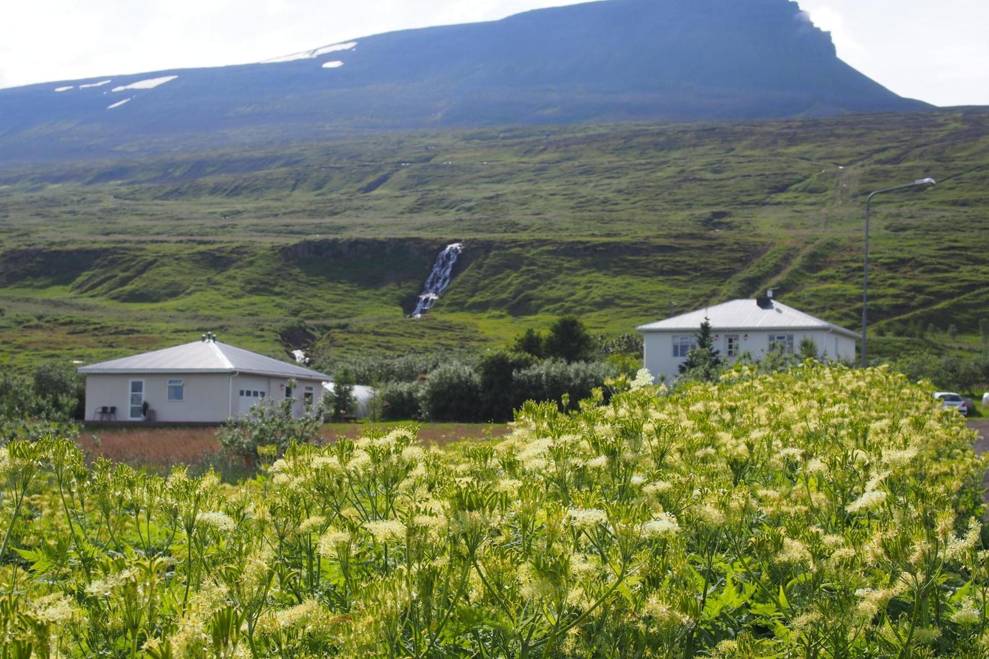 Granastathir Guesthouse Husavik Luaran gambar